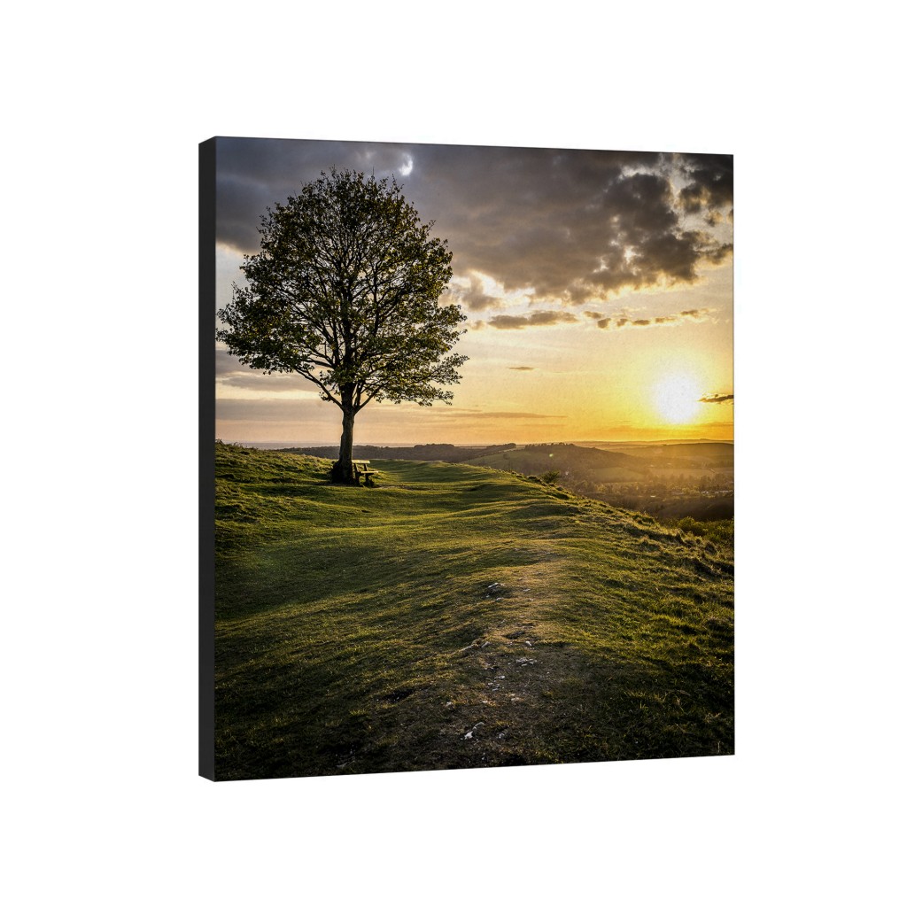 Rolling Hills Canvas Wall Art